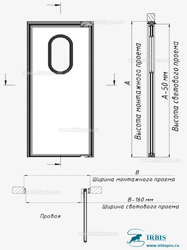 Одностворчатая маятниковая дверь Одностворчатая маятниковая дверь